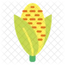 Corn Cereal Organic Icon