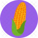 Corn Grain Maize Icon
