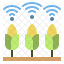 Corn Food Agriculture Icon