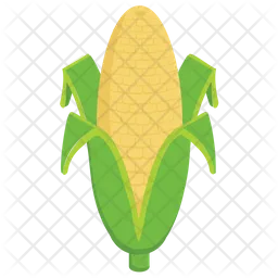 Corn Cob  Icon