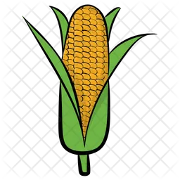 Corn Cob  Icon