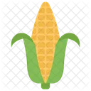 Corn Cob Vegetables Salad Icon