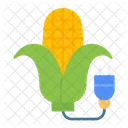 Cereal Corn Cob Zea Mays Icon