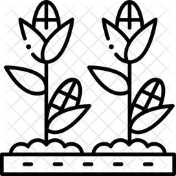 옥수수 농장  아이콘