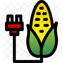 Corn Farming  Icon