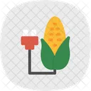 옥수수 농사  아이콘