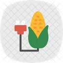 Corn Farming  Icon