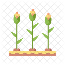 Corn Field  Icon