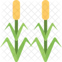 Corn Field Farming Icon
