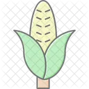Corn Field Corn Field Icon