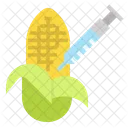 Corn Gmo Genetic Icon
