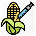 Corn Gmo Genetic Icon
