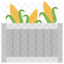 Corn Harvest Grain Corn Cob Icon