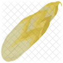 Corn Raw Maize Icon