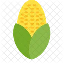 Corn  Icon