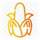 Corn Plant Healthy Icon