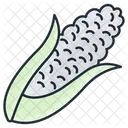 Corn  Icon