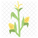 Corn  Icon
