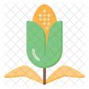 Corn Corn Farm Corn Farming Icon