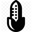 Corn  Icon