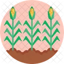 Corn  Icon
