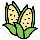 Corn  Icon