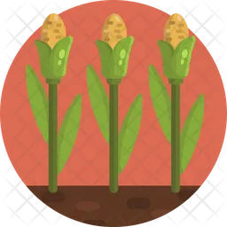 Corn Plant  Icon