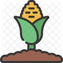 Corn Plant Corn Plant Symbol