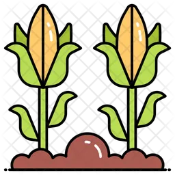 Corn Plant  Icon