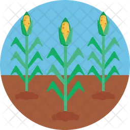 Corn Plantation  Icon