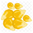 Corn Seeds  アイコン