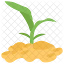 Corn Sprout Growing Seed Plant Growing Icon