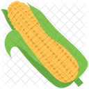 Corncob Grain Maize Icon