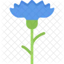 Cornflower Flower Nature Icon