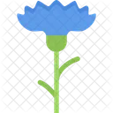 Cornflower Ecology Nature Icon