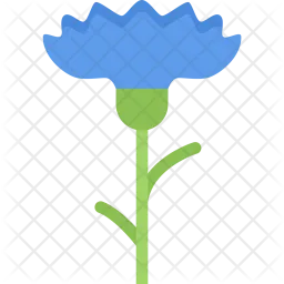 Cornflower  Icon