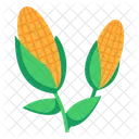 Corns  Icon