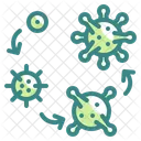 Coronavirus Evolution Coronavirus Evolution Icon