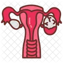 Corpus Luteum Ovary Menstrual Cycle Icône