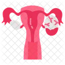 Corpus Luteum Ovary Menstrual Cycle 아이콘