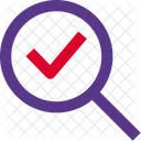 Correct Search  Icon