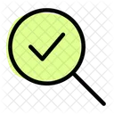 Correct Search  Icon