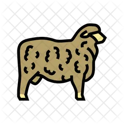 Corriedale Sheep  Icon