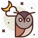 Coruja Ícone