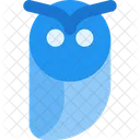 Coruja  Ícone