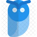 Coruja  Ícone