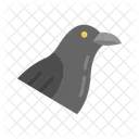 Raven  Icon