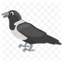 Corvus Albus Crow Bird Icon