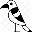 Corvus Crow Bird Icon