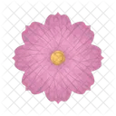 Cosmos Flower Icon